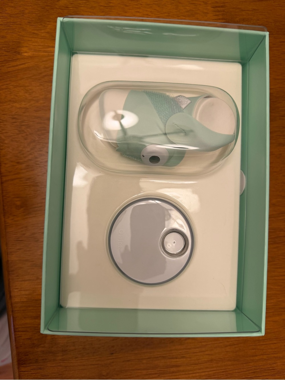 Kids Mint Green Wireless Earbud Set with Charging Case